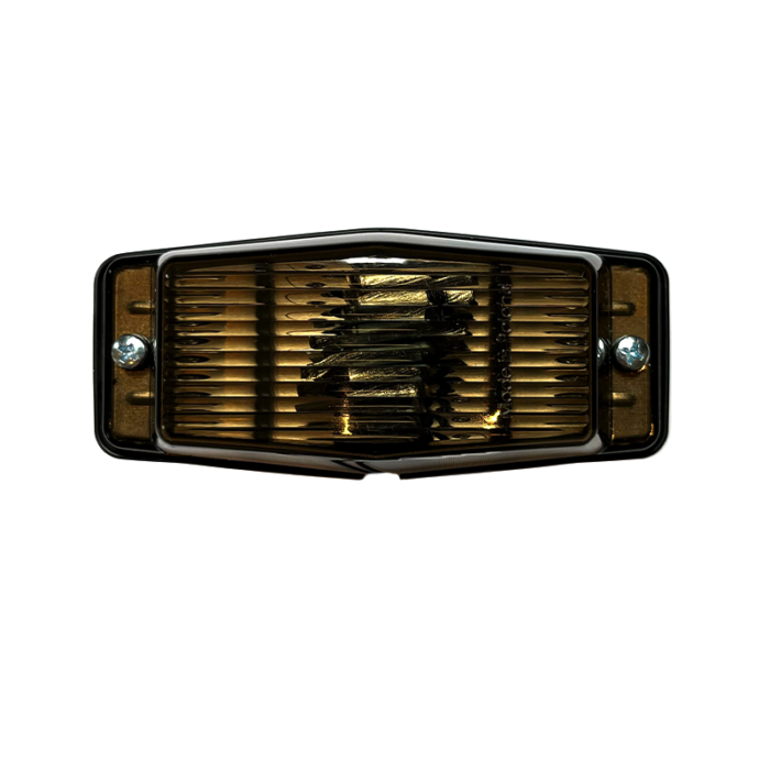 Doppelbrenner KLAR mit dunklem / Smoke-Lampenglas - geeignet für 12 und 24 Volt - zweipolige Lampe für Auto, LKW, Trailer und mehr - EAN: 6090539824875