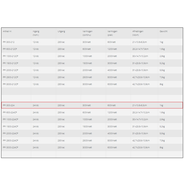 Specificaties van de Xenteq PPI 300-224 omvormer 24V