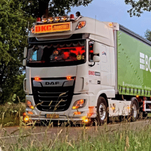 T10 LED lamp helder oranje - geschikt voor 12 en 24 volt gebruikt - stadslicht interieurverlichting - voor vrachtwagen, trailer en meer.