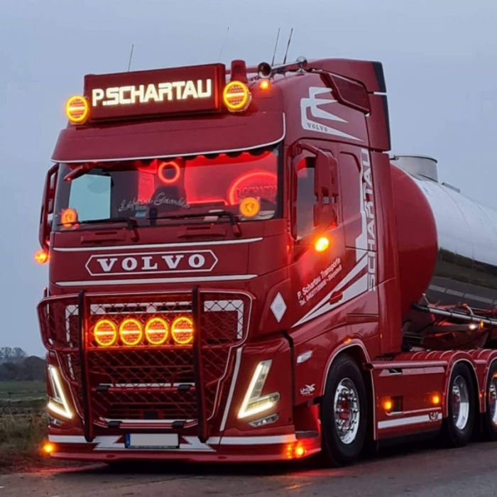 T10 LED bulb bright red - suitable for 12 and 24 volt use - sidelight interior lighting - for truck, trailer and more.