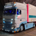 T10 LED lamp helder wit 6000K - geschikt voor 12 en 24 volt gebruikt - stadslicht interieurverlichting - voor vrachtwagen, trailer en meer.