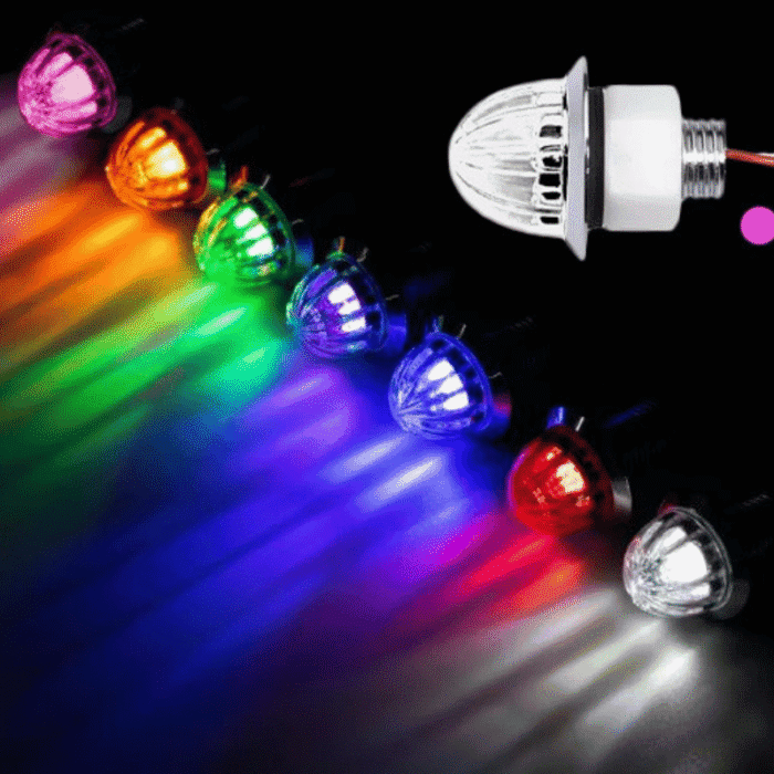 Group Nedking melonlights